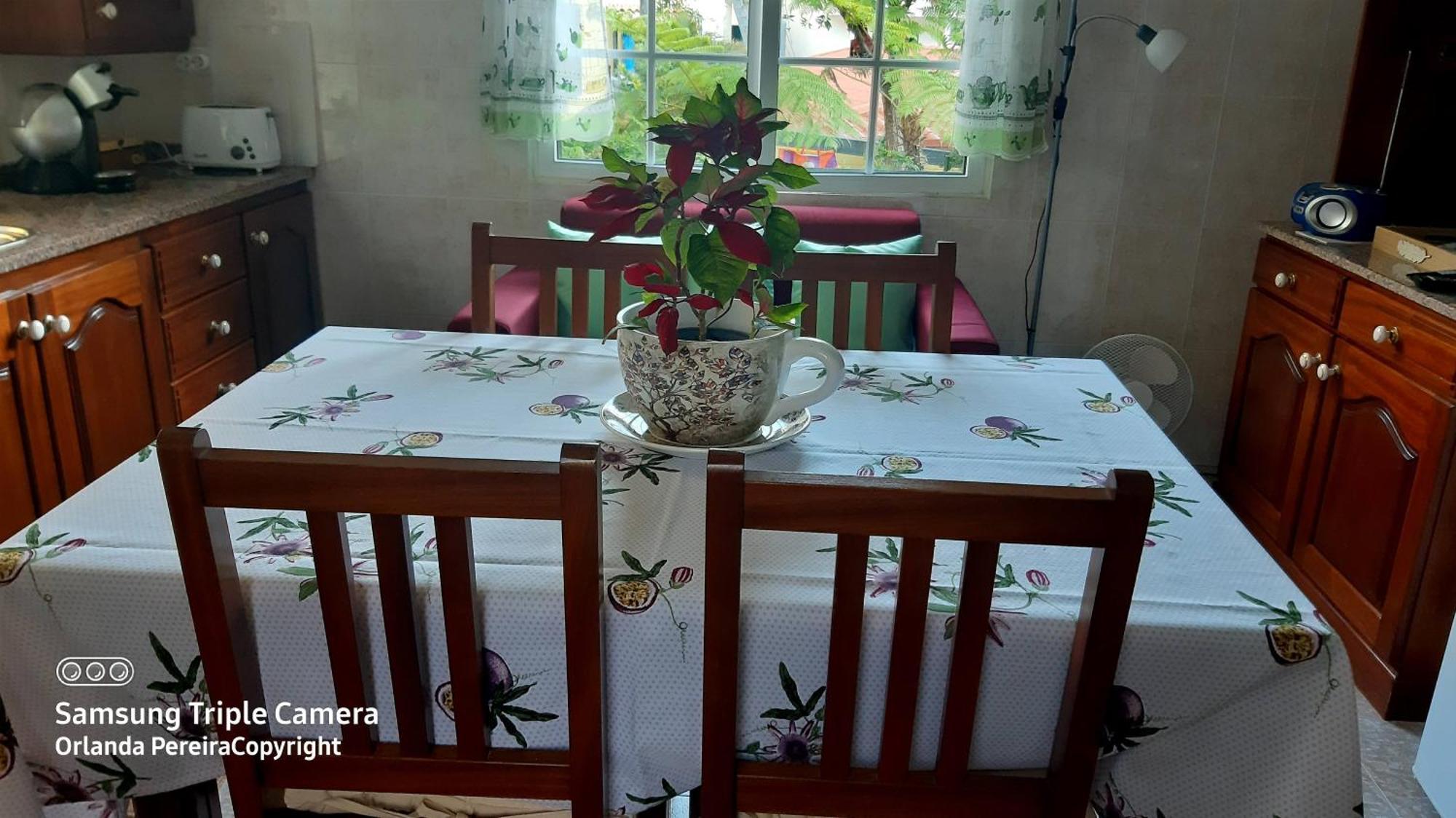 Terra Cha Cottage,Feel Home, São Vicente エクステリア 写真