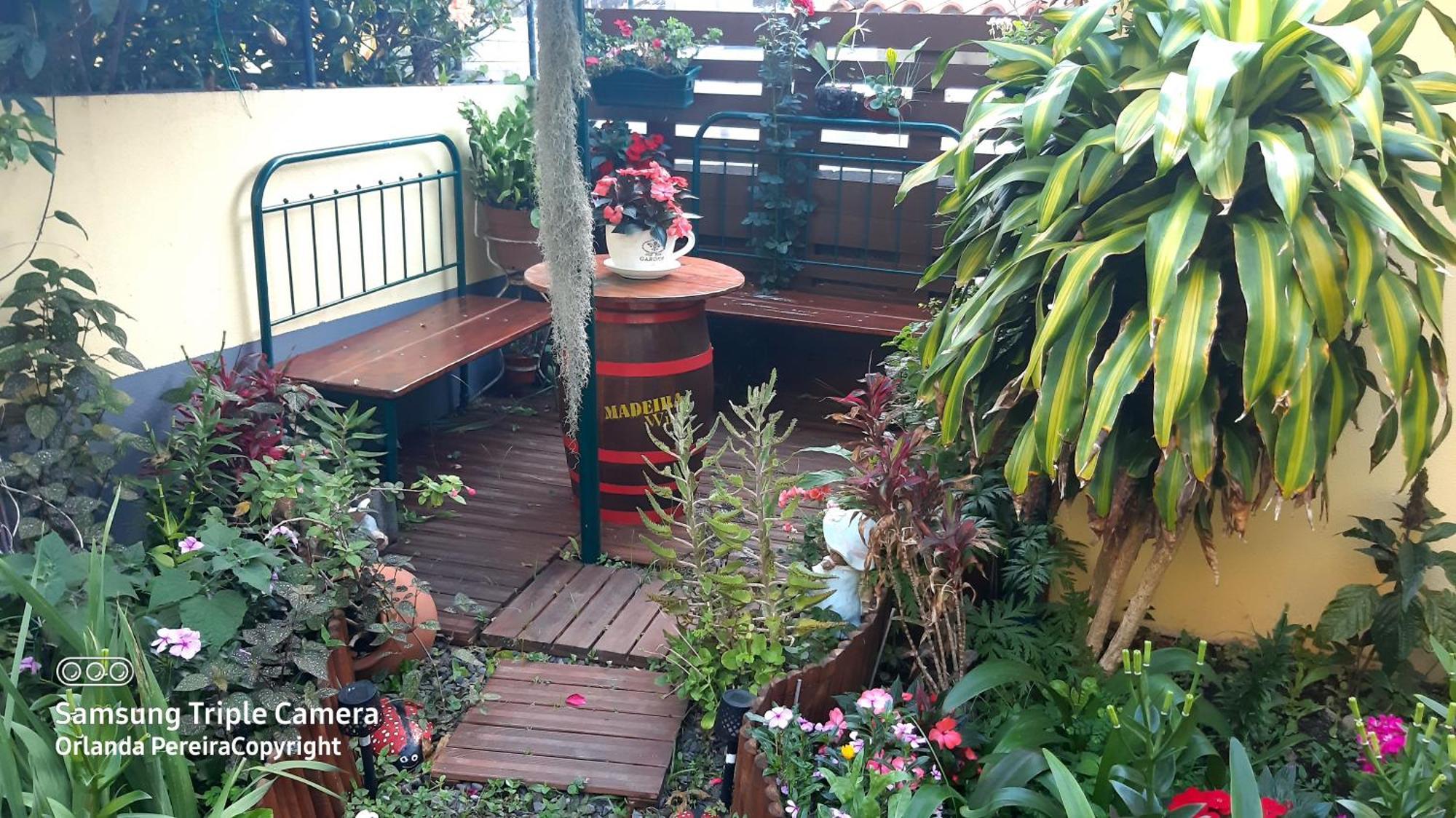 Terra Cha Cottage,Feel Home, São Vicente エクステリア 写真