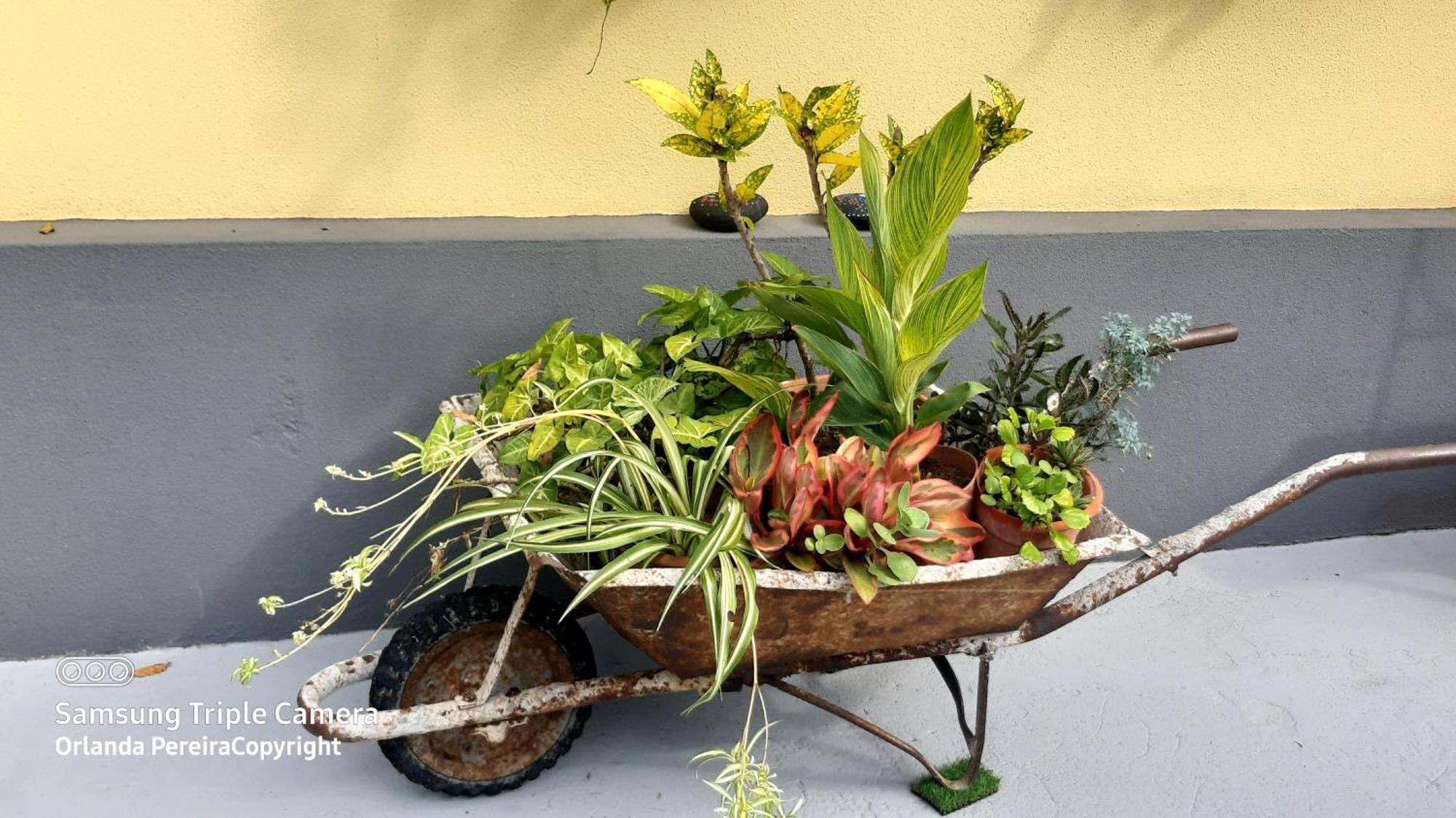 Terra Cha Cottage,Feel Home, São Vicente エクステリア 写真