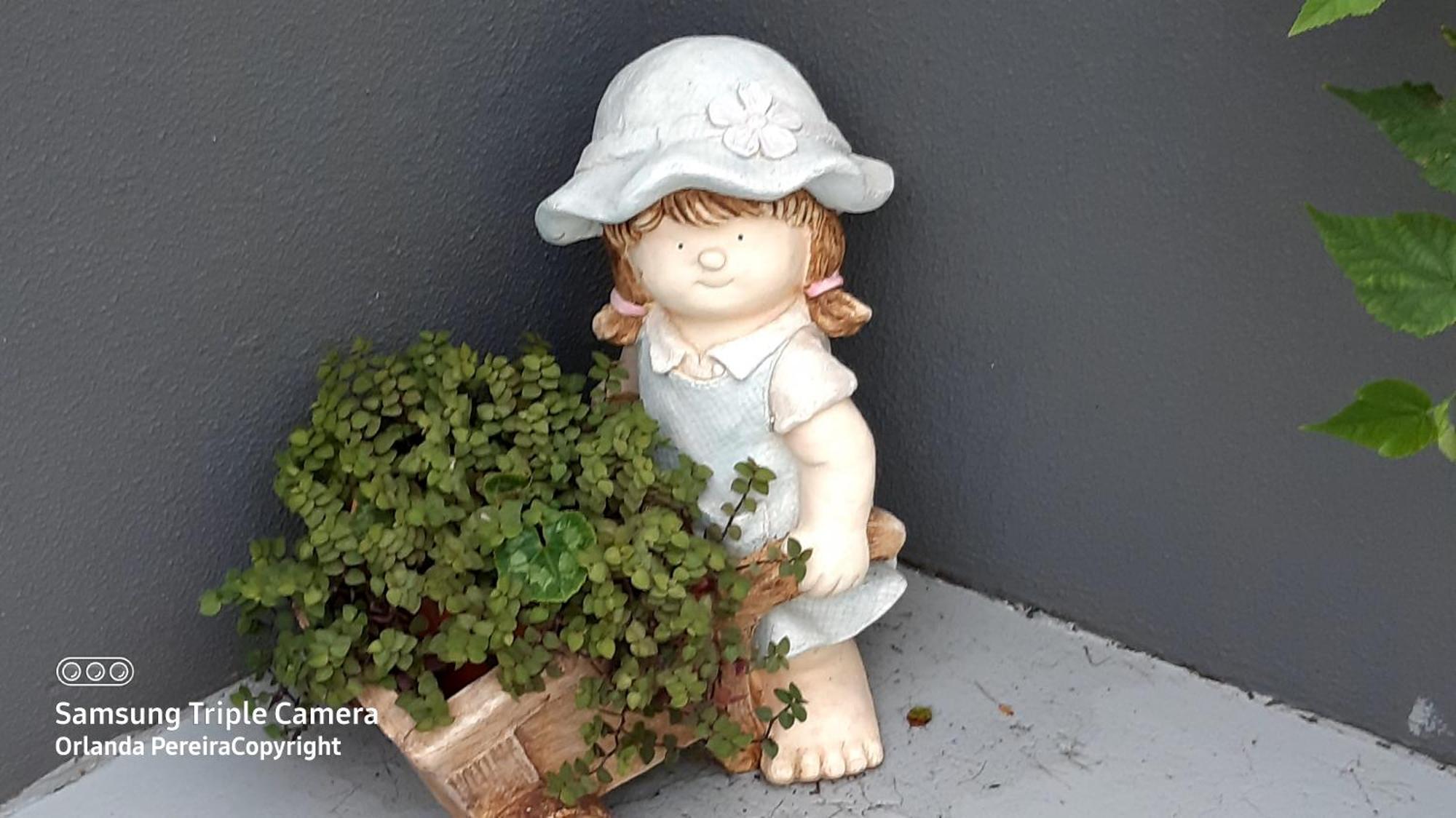 Terra Cha Cottage,Feel Home, São Vicente エクステリア 写真